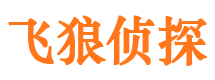 宁陕外遇出轨调查取证